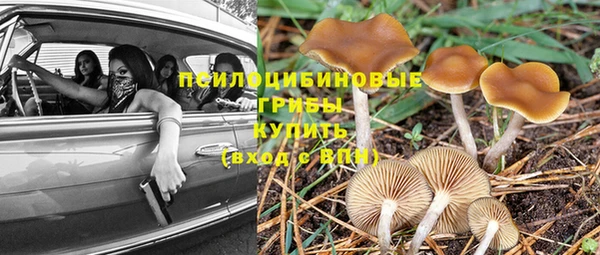 ешки Аркадак