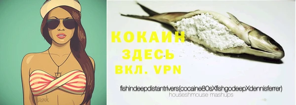 ешки Аркадак