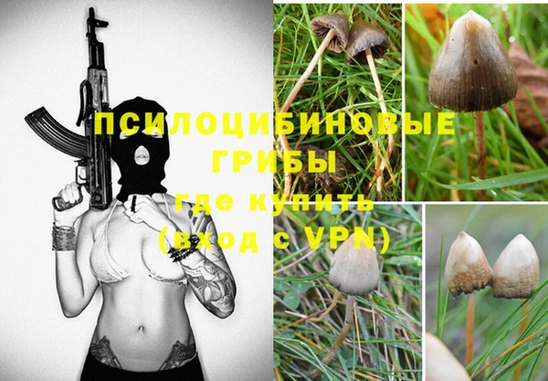 ешки Аркадак