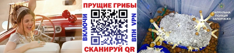 Галлюциногенные грибы прущие грибы купить сайты Переславль-Залесский